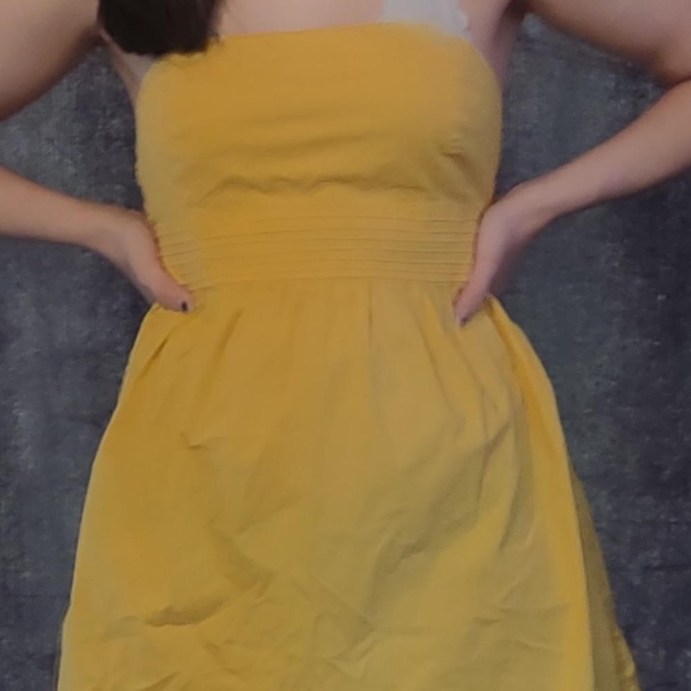 Body Central Dress